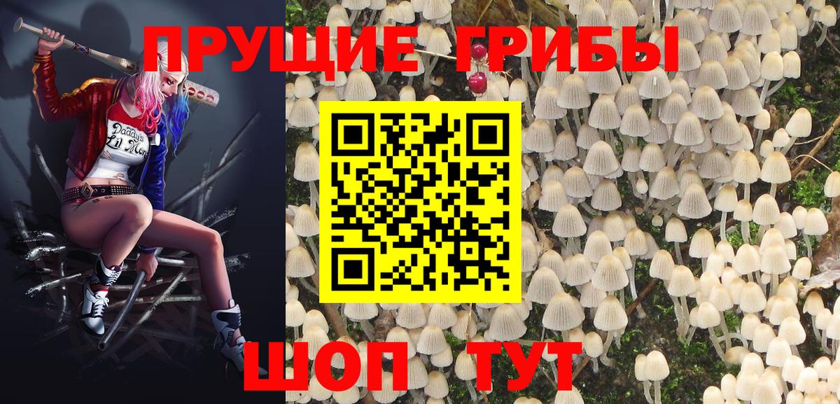 Елец  Галлюциногенные грибы Cubensis  Псилоцибиновые грибы GOLDEN TEACHER  Вход с VPN 